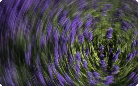 Linalool